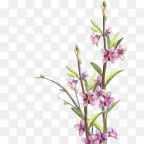 �ֻ�ֲ�ﻨ��-������