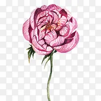 �ʻ滨��-������