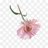 水彩风花朵装饰-空若网 水彩风花朵装饰-空若网