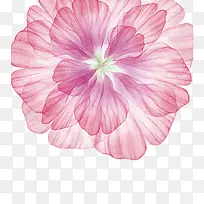 卡通手绘背景装饰花朵-空若网 卡通手绘背景装饰花朵-空若网