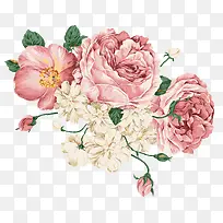 手绘花朵-空若网 手绘花朵-空若网