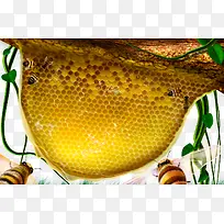 ��ͨ�۷����-������