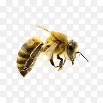 �ֻ��۷�-������