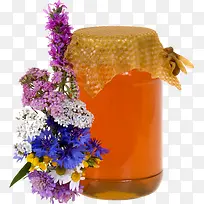 蜜蜂-空若网 蜜蜂-空若网