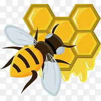 蜜蜂-空若网 蜜蜂-空若网