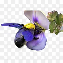 �ɻ���-������