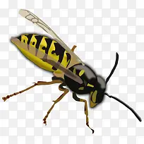 黄色的卡通蜜蜂-空若网 黄色的卡通蜜蜂-空若网