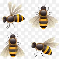 矢量手绘昆虫-空若网 矢量手绘昆虫-空若网