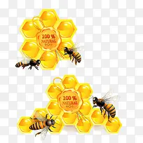 蜜蜂-空若网 蜜蜂-空若网