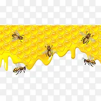 蜜蜂-空若网 蜜蜂-空若网