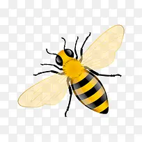 漂浮的蜜蜂-空若网 漂浮的蜜蜂-空若网