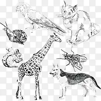 �ֻ涯��-������