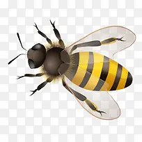 ¿¨Í¨Ð¡ÃÛ·ä-¿ÕÈôÍø ¿¨Í¨Ð¡ÃÛ·ä-¿ÕÈôÍø