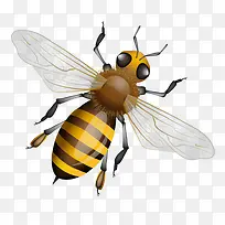 卡通手绘蜜蜂-空若网 卡通手绘蜜蜂-空若网