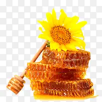 蜜蜂-空若网 蜜蜂-空若网