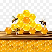 蜜蜂-空若网 蜜蜂-空若网