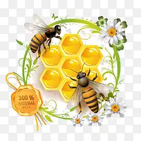 蜜蜂-空若网 蜜蜂-空若网