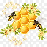 蜜蜂-空若网 蜜蜂-空若网