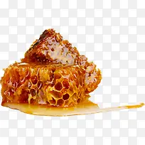 蜜蜂-空若网 蜜蜂-空若网