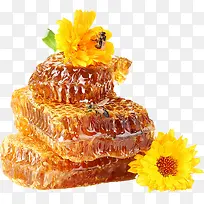 蜜蜂-空若网 蜜蜂-空若网