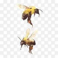 蜜蜂-空若网 蜜蜂-空若网