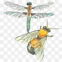 有益昆虫水彩画素材图片-空若网 有益昆虫水彩画素材图片-空若网