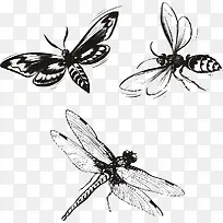 生物世界-空若网 生物世界-空若网