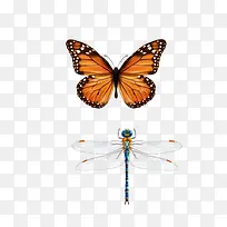 ����   ����-������