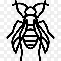 蜜蜂图标-空若网 蜜蜂图标-空若网