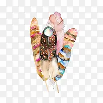 ˮ����ë-������