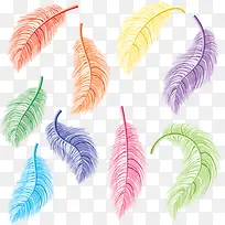 彩色羽毛-空若网 彩色羽毛-空若网