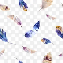 彩色羽毛-空若网 彩色羽毛-空若网