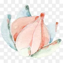 �ֻ�ˮ�ʻ���ֲ��-������