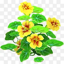 ����-������