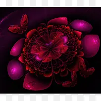 生如夏花绚烂多姿-空若网 生如夏花绚烂多姿-空若网