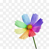 ��ɫ��-������