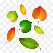 多彩落叶-空若网 多彩落叶-空若网