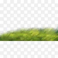 草虫-空若网 草虫-空若网