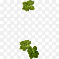 绿色多层创意树叶-空若网 绿色多层创意树叶-空若网