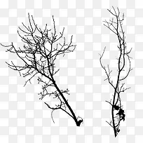 树枝-空若网 树枝-空若网