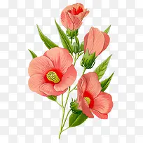 ��ɫ�ֻ��㴴��-������