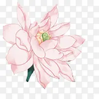 粉色多层创意花朵-空若网 粉色多层创意花朵-空若网