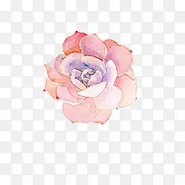 ¶àÈâ-¿ÕÈôÍø ¶àÈâ-¿ÕÈôÍø