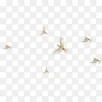 �����ɫ����С��-������