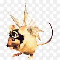 ����С����-������