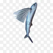 ³¤³á°òµÄÓã-¿ÕÈôÍø ³¤³á°òµÄÓã-¿ÕÈôÍø