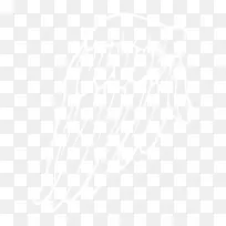 翅膀-空若网 翅膀-空若网