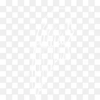 翅膀-空若网 翅膀-空若网