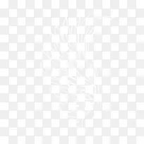 翅膀-空若网 翅膀-空若网