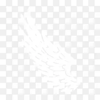 翅膀-空若网 翅膀-空若网